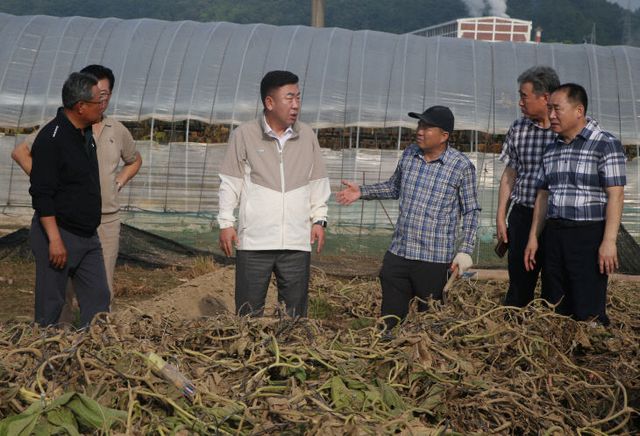 청주시 농업정책국·청주랜드관리사업소, 수해 농가 찾아