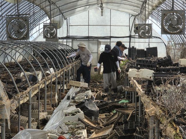금산군 공무원 피해 복구지원