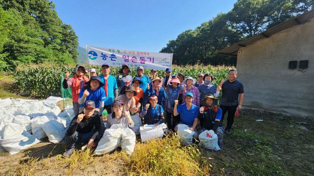 6. 소이면 행정복지센터, 옥수수 수확 농촌일손돕기 ‘구슬땀’