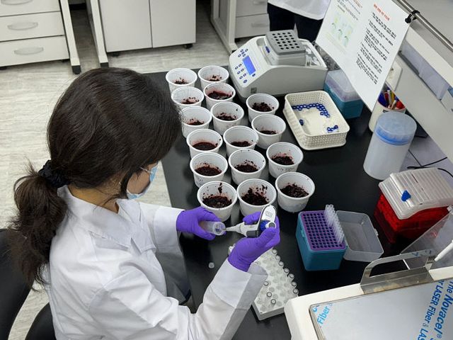 농산물분석_복분자 안전성 검사