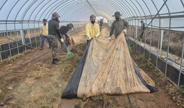 8098부대 2대대, 집중호우 피해 고창 수박농가 지원(1)