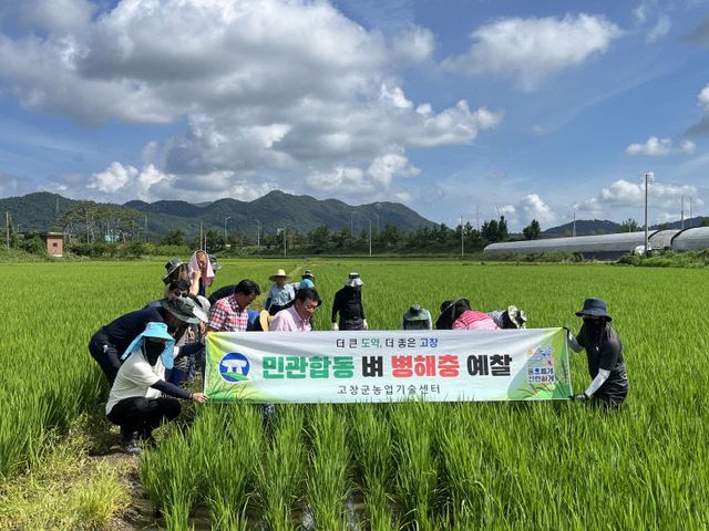 민관합동 벼 병해충 예찰