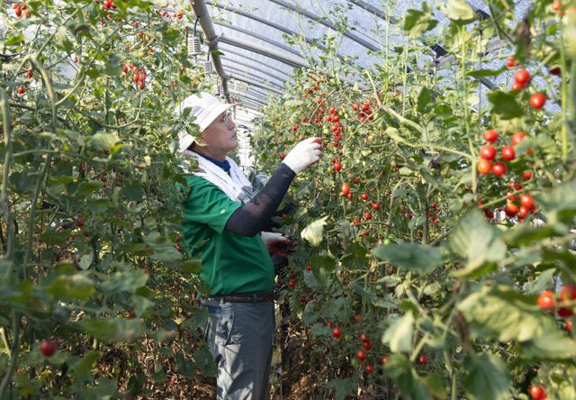 청양 예산 수해현장 복구