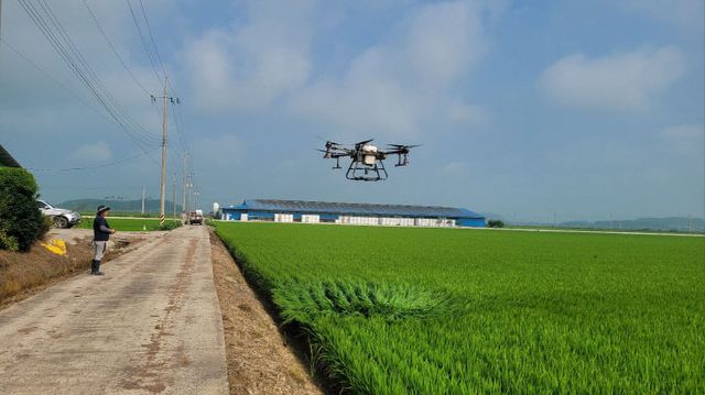 벼 병해충 방제 모습