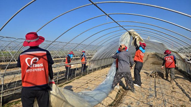 도 자원봉사센터, 수해 지역 찾아 나눔 실천 3