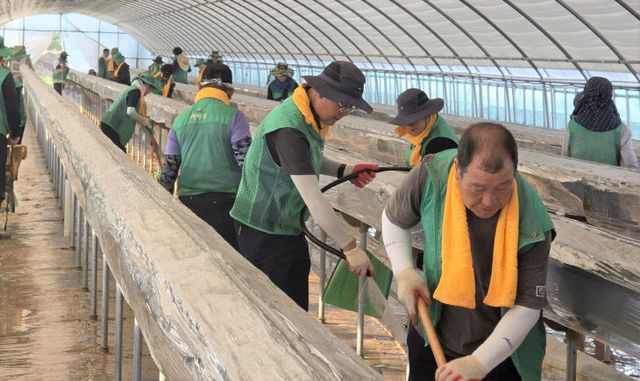 당진시 순성면 복구 자원봉사(2)