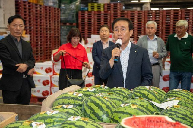 보도 2) 수박 출하 사진(3)