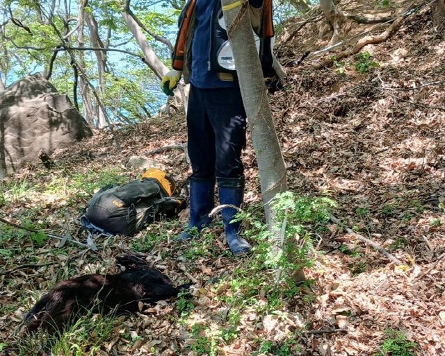 KakaoTalk_20250728_101053851