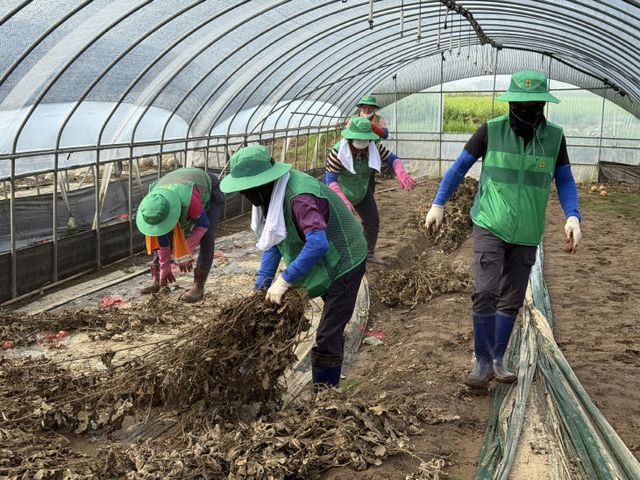 서천군새마을회가 홍성지역에서 복구 활동을 펼치고 있다