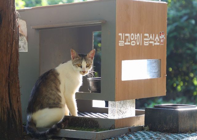 사본 -250730 단지내 길고양이 급식소 공존