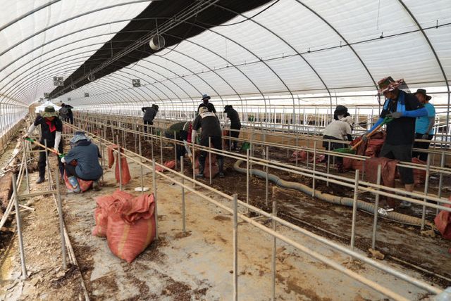 충북농기원, 폭우 피해 현장서 함께 땀 흘리며 복구 지원