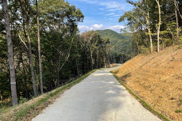 순창 0703 - 임도사업 최우수기관 1위 선정(1)
