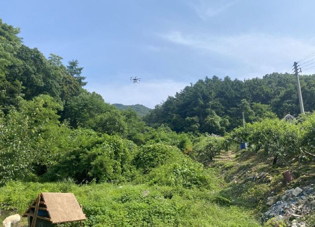 3. 음성군, 돌발해충 긴급방제 약제 지원