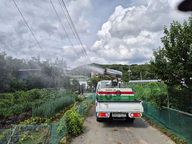 기후변화 속 러브버그·돌발해충 급증