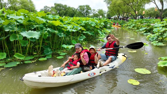 1.제23회 부여서동연꽃축제(3) (1)