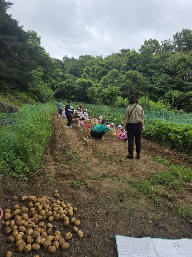 사본 -도시민체험단