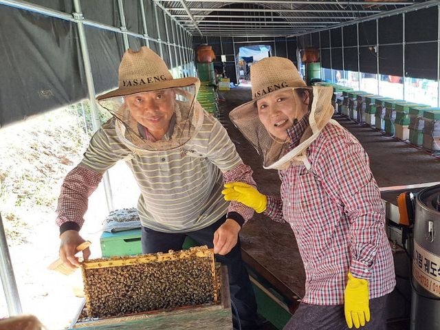 5-스마트양봉 (2)