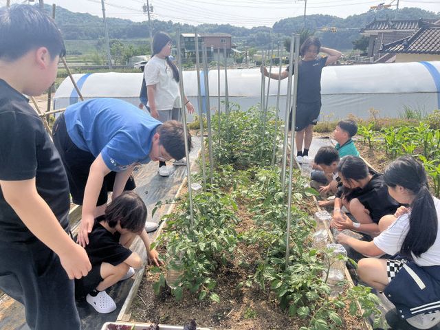 농촌체험농장 연계 늘봄프로그램