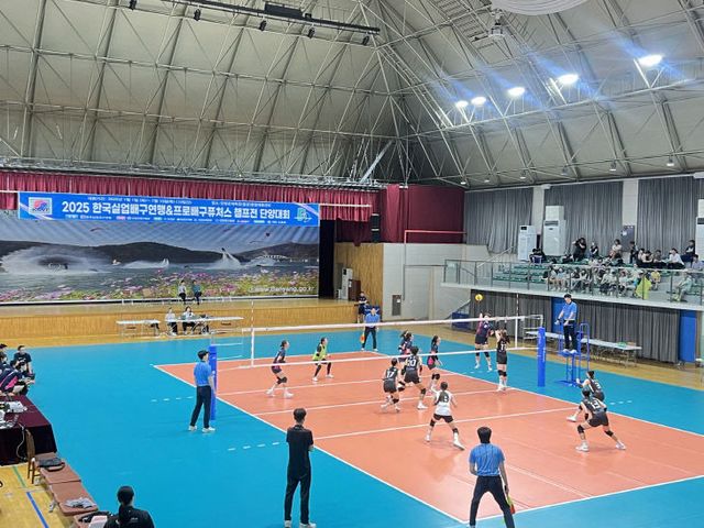 & 프로배구 퓨처스 챔프전 단양대회(6)