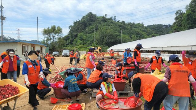 당진시 수해복구-1