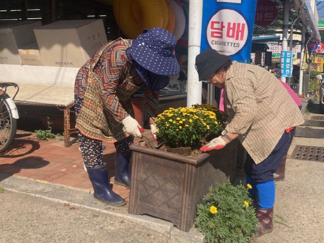 괴산군 청천면, 여름 꽃길 조성 (3)