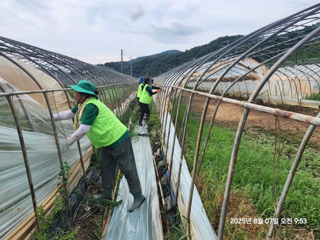 함안군여성단체협의회, 산청군 폭우 피해 복구에 힘