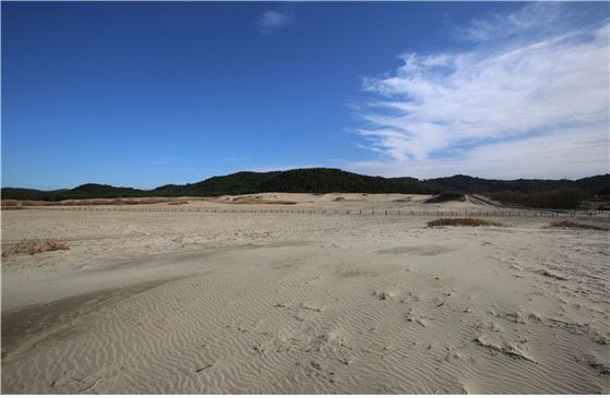 신두리 해안사구