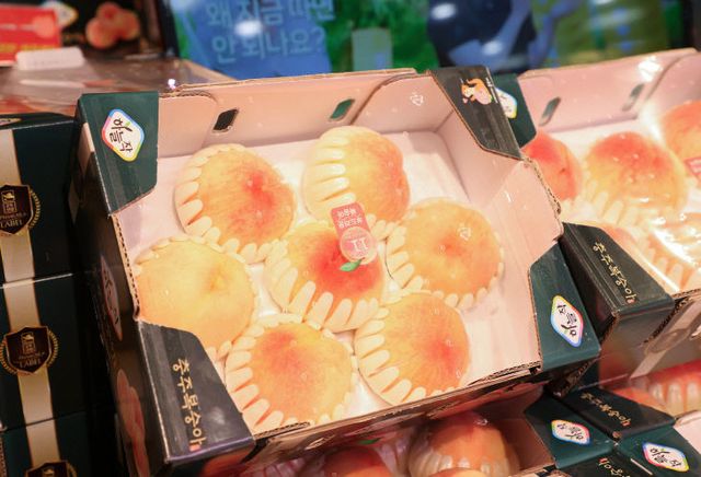 250813 충주시 하늘작 충주복숭아 (1)