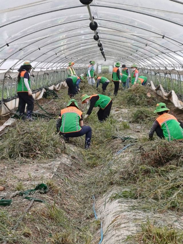 3.부여군자율방재단 복구활동 (2)
