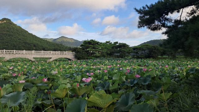 KakaoTalk_20250814_104809073_01