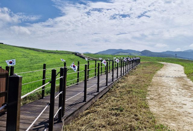 3. 서산한우목장길에 마련된 태극기 길(지난 8월 12일 모습)3