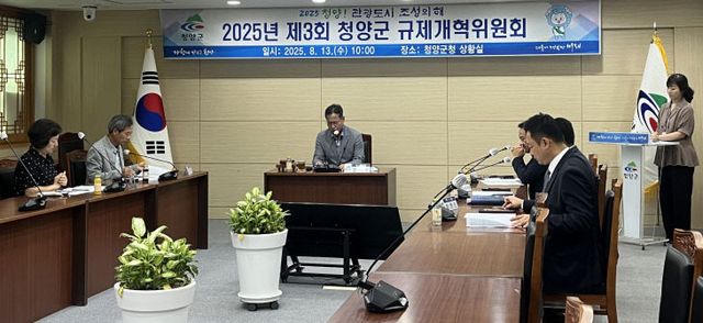 3. 청양 규제개혁위원회