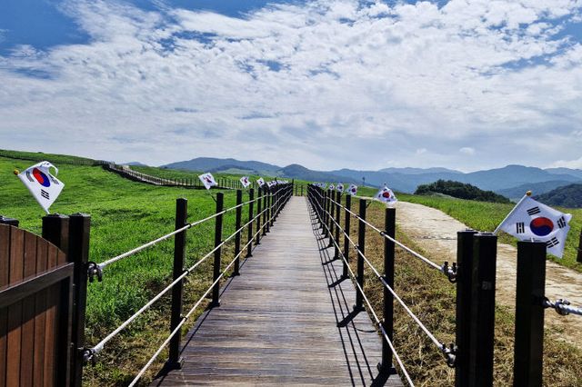 3. 서산한우목장길에 마련된 태극기 길(지난 8월 12일 모습)2