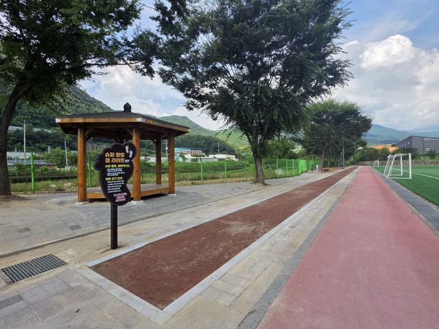 보도 3) 대강면체육공원 맨발걷기 황토길