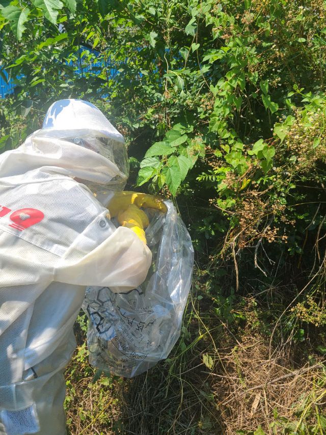 서천소방서 대원이 야외에서 벌집을 제거하고 있다