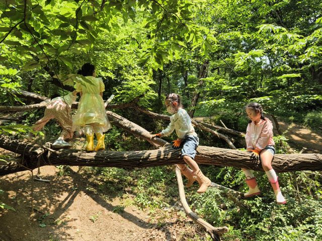 KakaoTalk_20250618_175756594_06