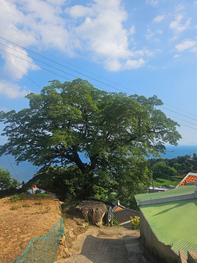 1. 300년 이팝나무 고향사랑기금으로 보호한다1