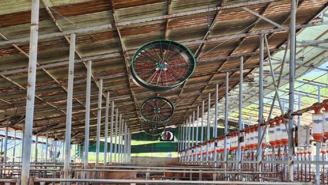 “한우 축사 더위 식히기” 청주시, 에어제트팬 공급