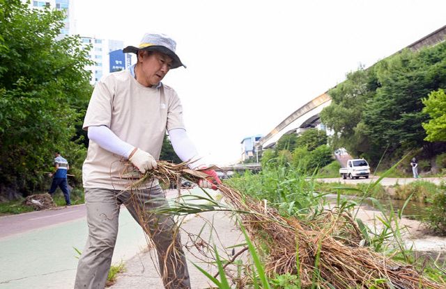 의정부시 부용천 일대 부유물 청소 지역주민들과 함께 세번째