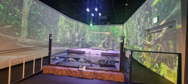 보도 1) 에코리움 악어 수조