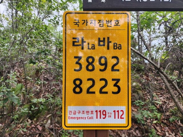 250822 국지점번호판 사진2