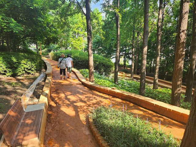 녹지과-희망대공원 맨발 황톳길 모습