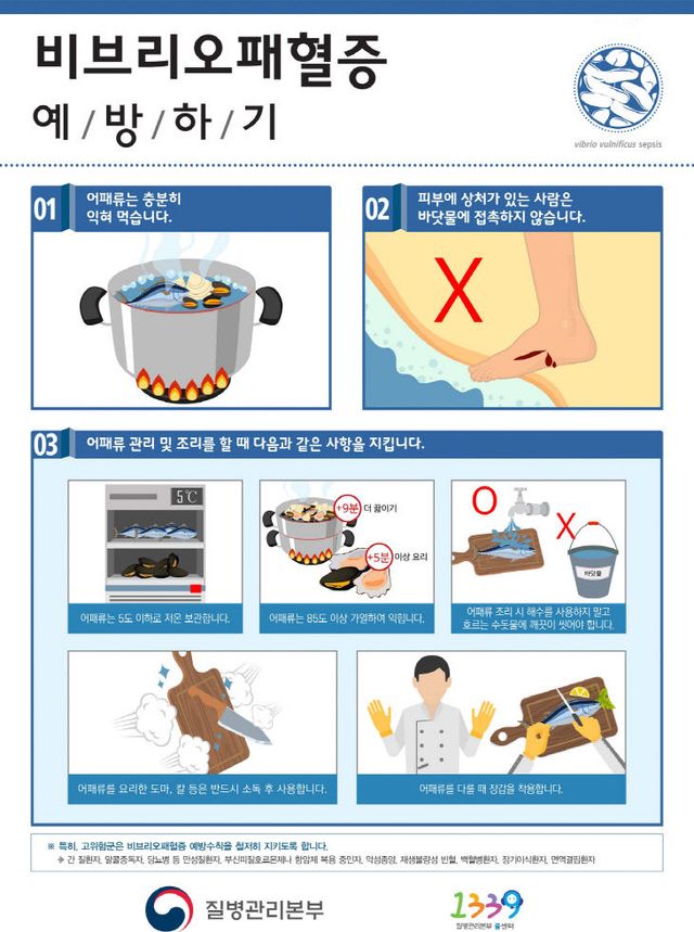 비브리오패혈증 예방
