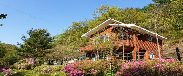 백야자연휴양림 숲속의집