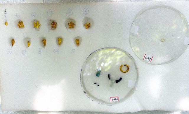 0826 “정읍은 백제의 중심” 은선리·도계리 고분군서 금제 )