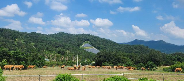 저탄소 축산물 인증 농장1