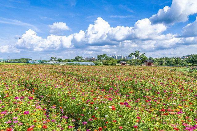 꽃밭으로 초대합니다” (2)