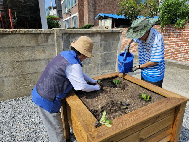 빈집이 텃밭으로! 청주시, 주민참여형 농장 개장.