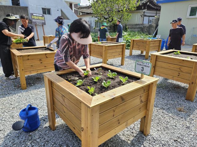 빈집이 텃밭으로! 청주시, 주민참여형 농장 개장.