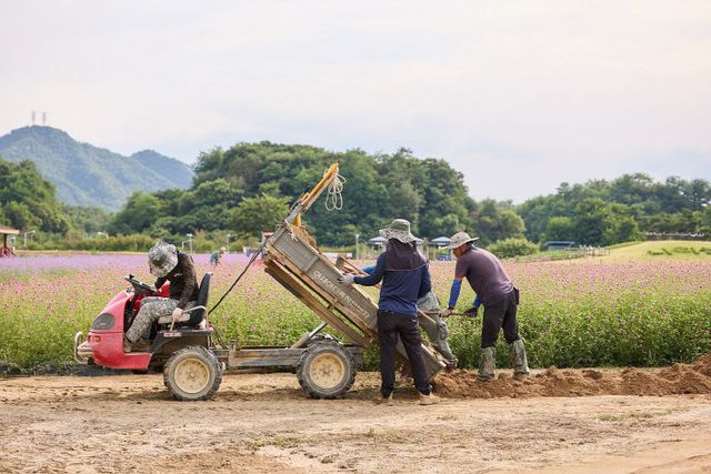 250828_[포토] “가을 손님 맞이 구슬땀” (2)